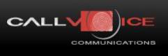Call Voice communications